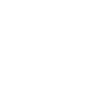 sport-palace