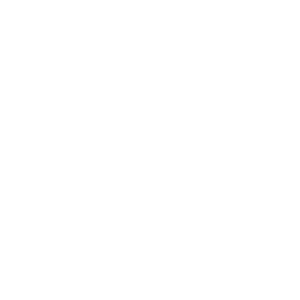 LEON 450_Mesa de trabajo 1