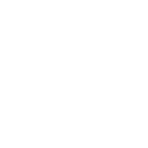 LEON AYUNTAMIENTO_Mesa de trabajo 1